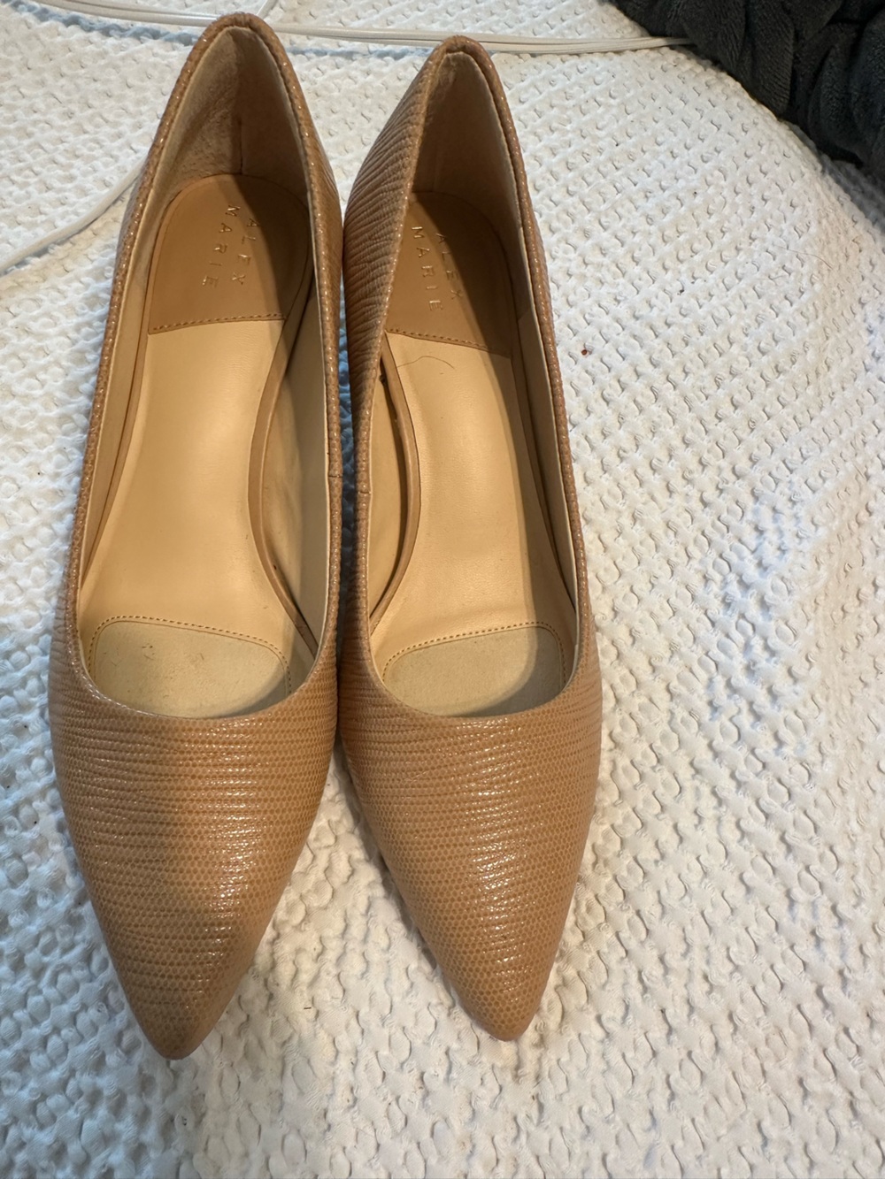 Alex Marie Nude Pointed-Toe Women’s short heels